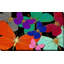 «Colorful Butterflies (Horizontal)» par Jodi - impression-887050210-887050236