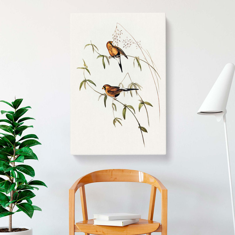 Masked Grass Finch by Elizabeth Gould - Wrapped Canvas Painting, 60cm H x 40cm W x 3cm D