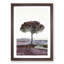 Tree in Tuscany Italy - Picture Frame Painting Print-56855729-56855732