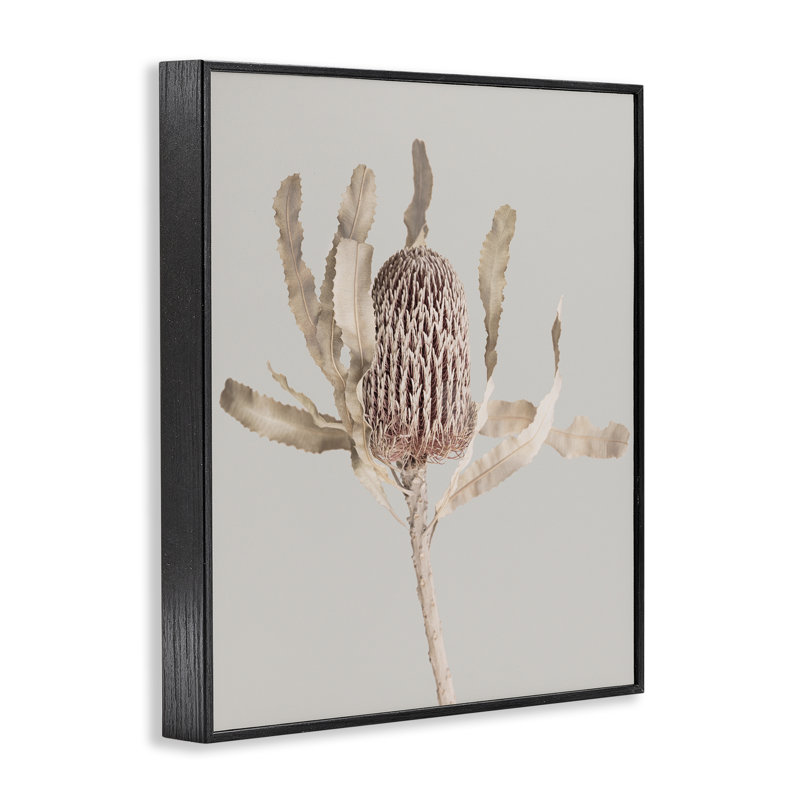 Giclée botanique australienne Banksia, design de Sissi et Seb, H 30 po x l 24 po, Giclée encadrée noir minuit
