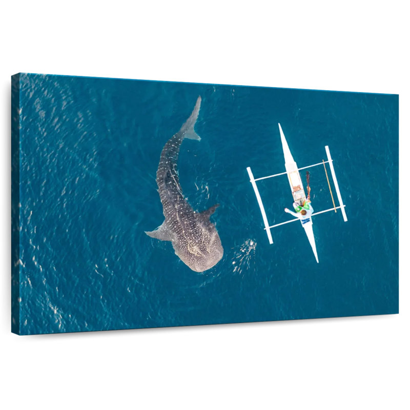Brampt Oslob Whale Shark