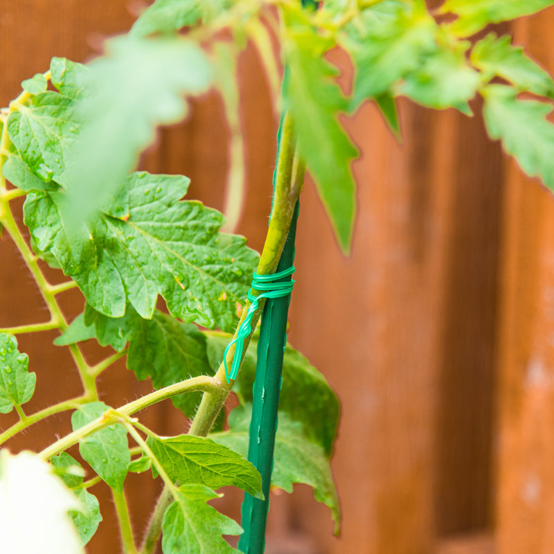 Weather Resistant Plant Support
