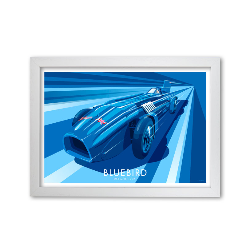Bluebird by Stephen Millership - Print, 21 cm H x 29.7 cm W x 5 cm D, White