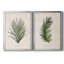 Palm Botanical I - ensemble de 2 impressions-1280204971-1211584036-1280204969