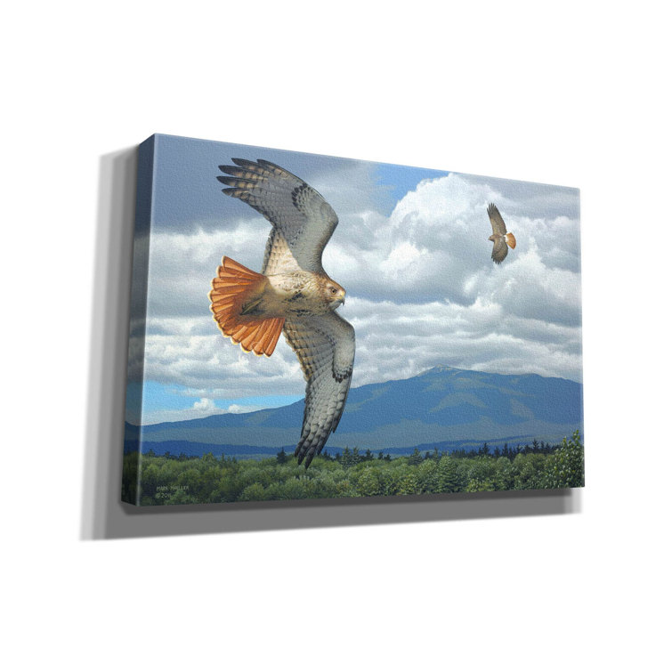 Loon Peak® Soaring Over The Pines - Red-Tailed Hawks On Canvas by Mark ...