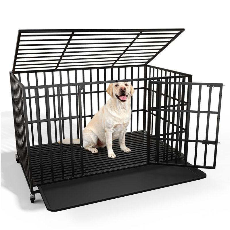 Caisse pour chien 48 pouces