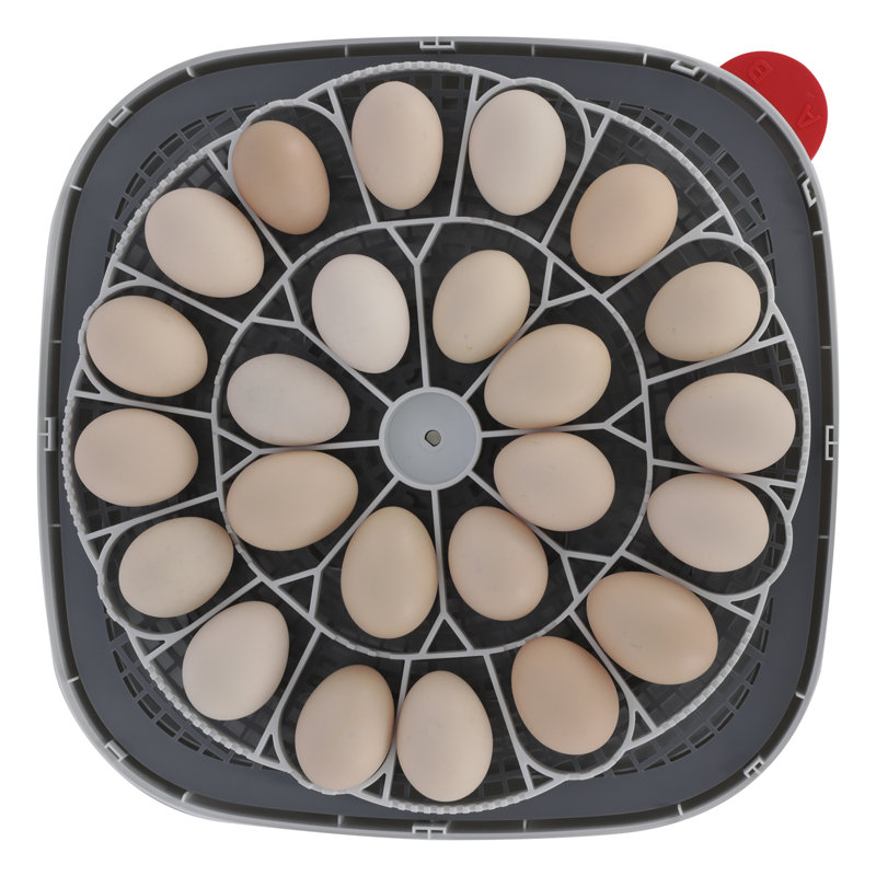 24 couveuses à œuf avec retournement automatique des œufs, couveuses pour œufs à couver, contrôle de la température et de l'humidité, couveuse à œufs, couveuse à œufs pour couveuses, oiseaux, œufs de caille, canards, oies, pigeons