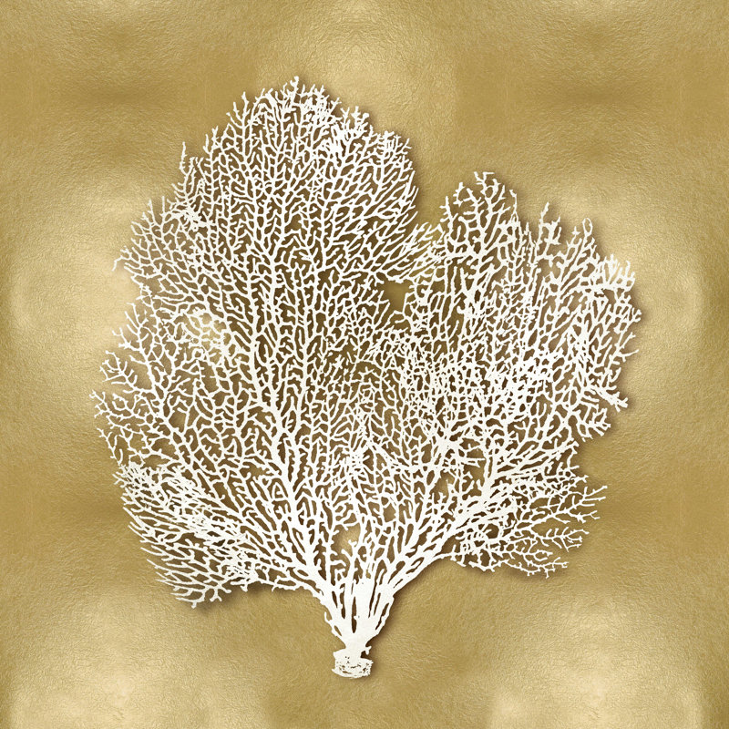 " Sea Fan On Gold II " by Caroline Kelly, 30" H x 30" W