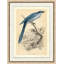Lark Heel Framed Painting