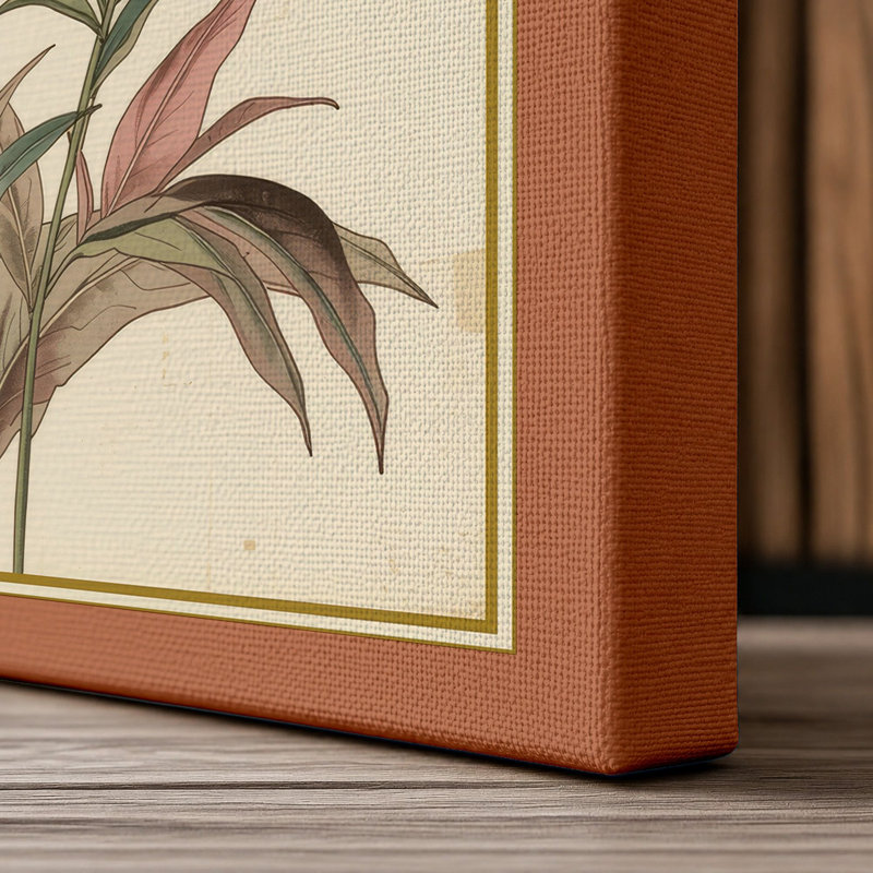 Carnation Study Botanical - Wrapped Canvas, 36x24 - 91.4 x 61.0 cm, Terracotta Border