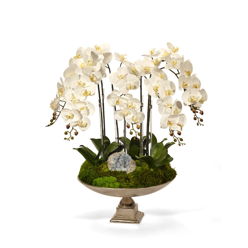 Orchid Silk Orchid Arrangement