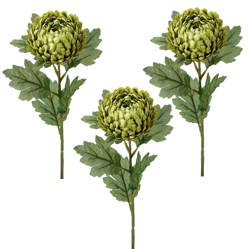 Tige d'araignée 23 po, Vert