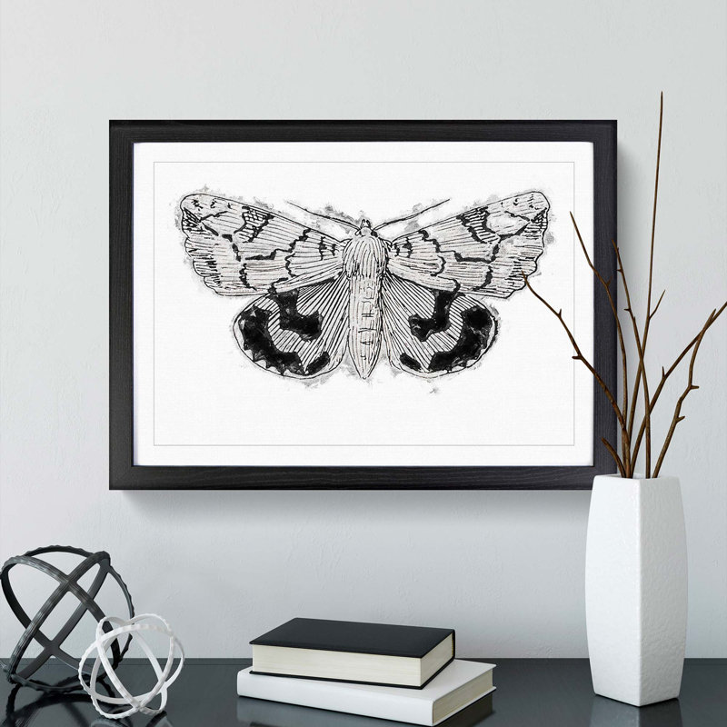 Underwing Moth by S.F. Denton - Picture Frame Painting Print, 27cm H x 36cm W x 2cm D, Black Framed
