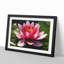 Pink Water Lily Flower Vol.3 - Picture Frame Graphic Art-62760638-62760639