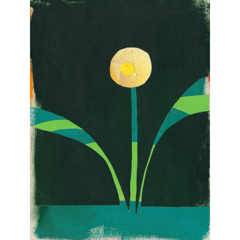 «Fall 2021 Playful Sort 26», impression encadrée sur papier par PC Ngo, Cadre simple noir, H 40 po x l 31 po