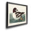 Golden Eye Duck - reproduction d'art sur toile-249560634-249560635