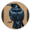 Washable American Crow Birds Area Rug