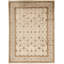 Oriental Area Rug in Ivory