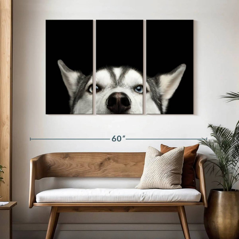 Husky sibérien Brampt, H 32 po x l 50 po