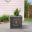 Hillevi Planter-1661493425-1661493422