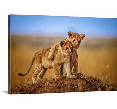 «Brothers For Life» par Jeffrey C. Sink, reproduction de photo sur toile