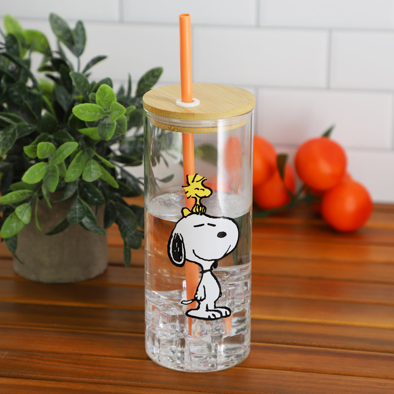 Peanuts Snoopy and Woodstock 6 Piece 23 Ounce Glass Tumbler with Straw and Bamboo Lid in Orange