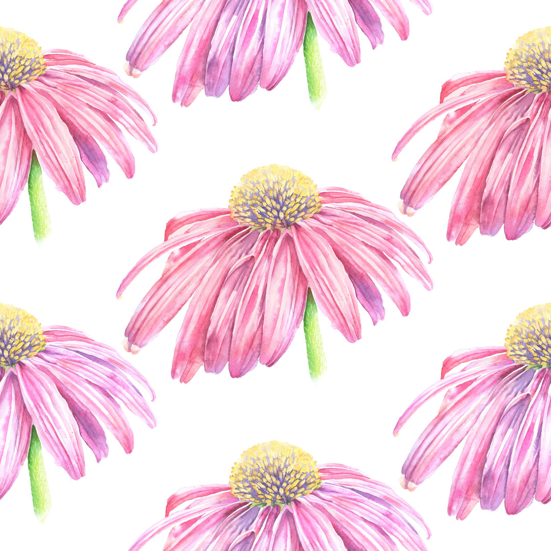 Echinacea Flower Seamless Pattern von Andrea_Hill - Kunstdrucke auf Leinwand ohne Rahmen