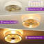 Ventilateur de plafond 19,6 po avec ensemble d'éclairage et télécommande Arachne-98089885-130460706