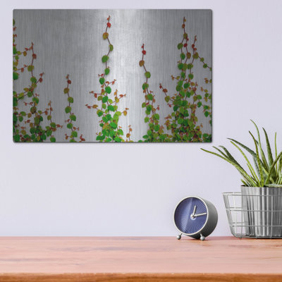 «Vine» par Dennis Frates