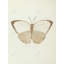 Papillons sépia - Beige animaux, reproduction encadrée