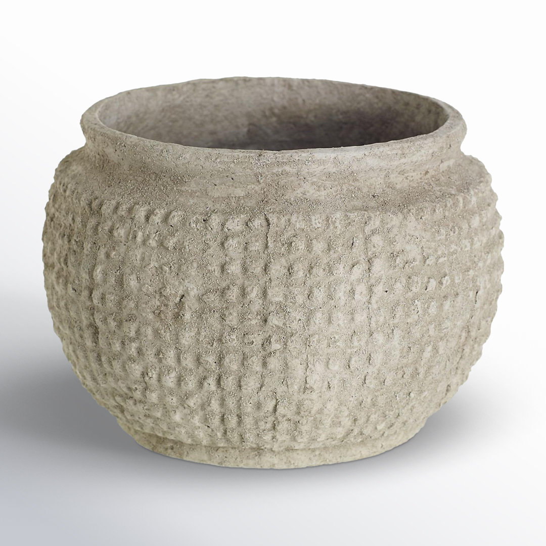 Pot Planter Joss & Main