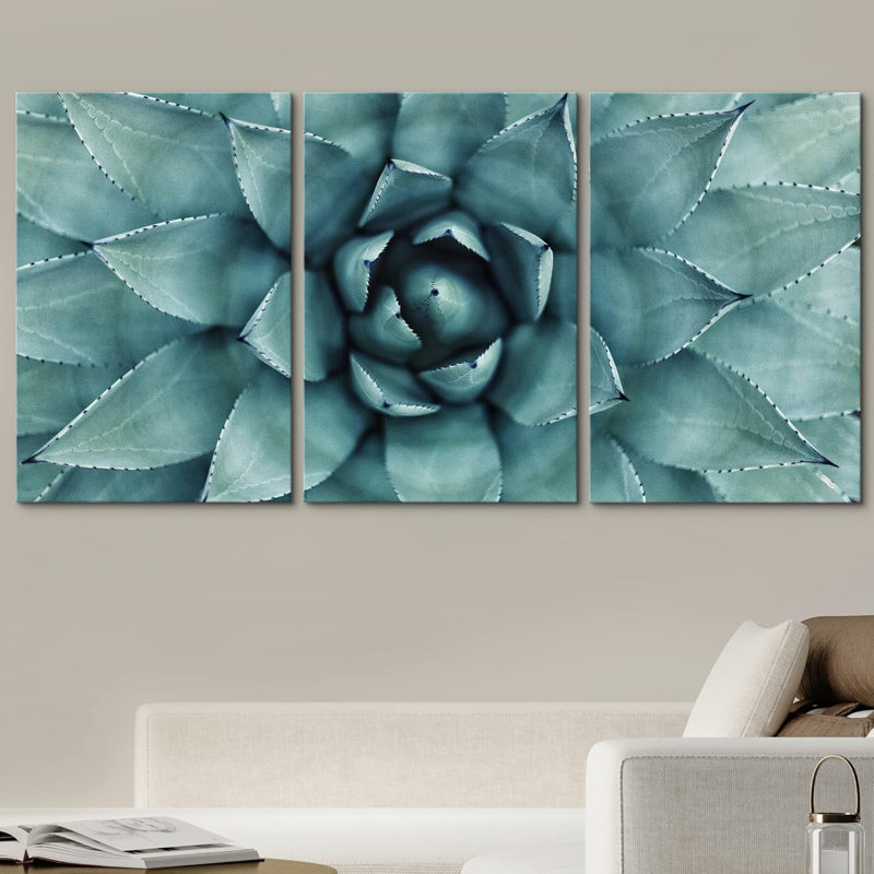 «Minimal Botanical Sharp Pointed Agave Plant Succulent Leaves», ensemble de 3 reproductions de photos sur toiles tendues