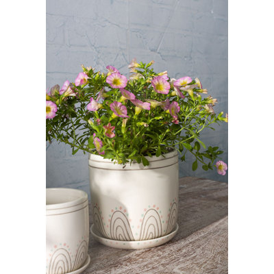 Jelisava Ceramic Pot Planter