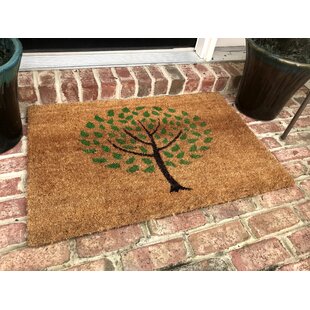 Layered Outdoor Welcome Mat Set - Coconut Coir (18-inch x 30-inch) and  Woven Doormat (24-inch x 35-inch) Combo Inside or Outside Pet Friendly Rug  for