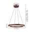 Luminaire suspendu 20 po à DEL