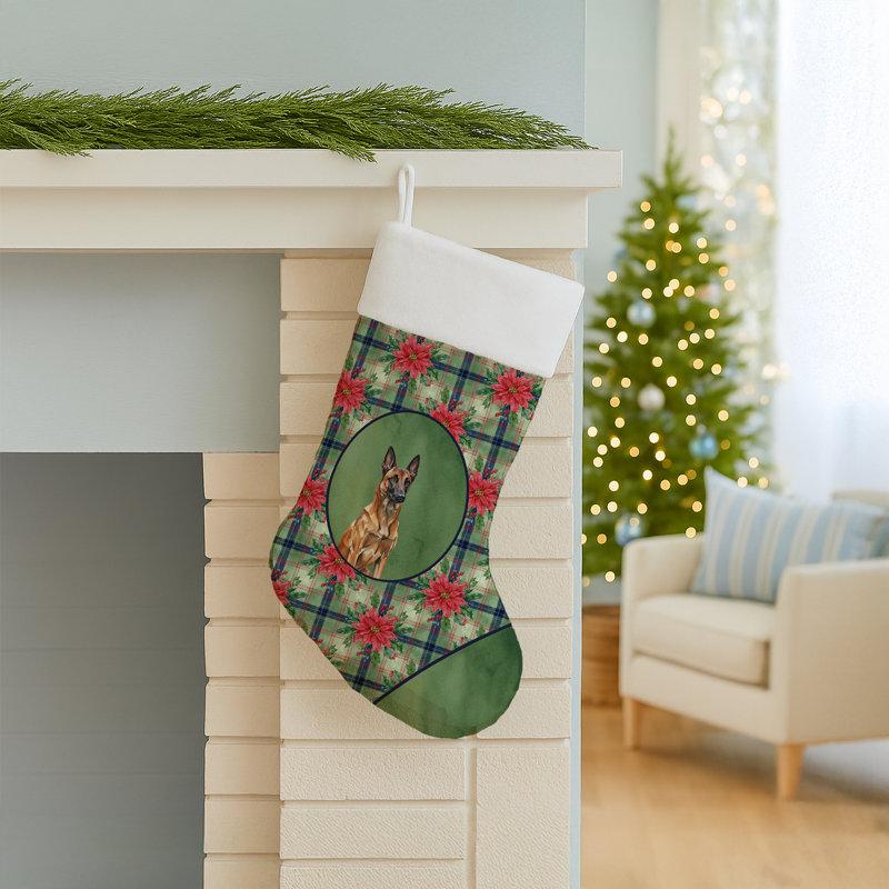 Chaussette de Noël acajou belge Malinois