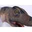 Statue Allosaurus tête de dinosaure bouche ouverte