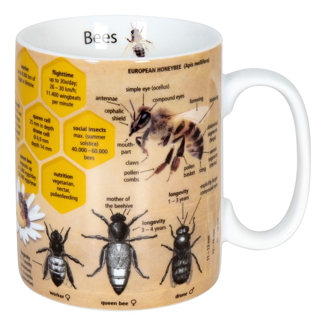 Kaffeebecher Wissen Bienen