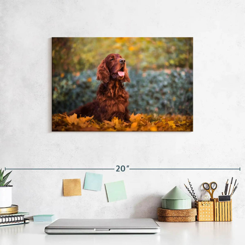 Irish Setter In Autumn, 8" H x 12" W