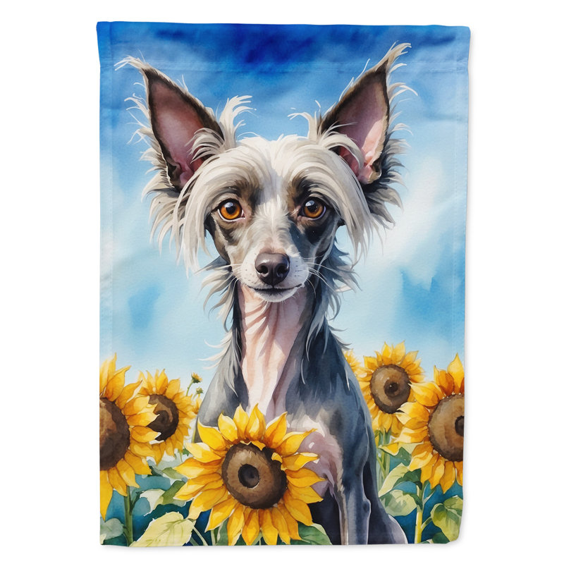 Drapeau de la maison du tournesol Malamute d'Alaska, Chien chinois à crête