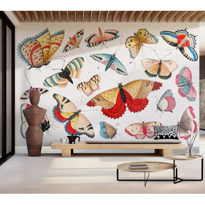 Premium Wallpaper Wall Mural - Colorful Butterfly Collection