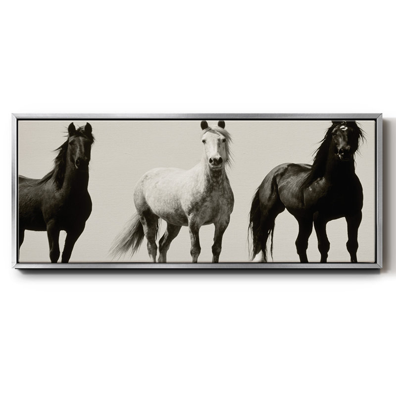 Wild Stallions- Framed Canvas