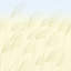 Miscanthus-1138477132