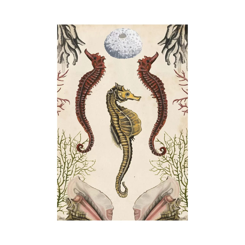 Antiquarian Menagerie: Seahorse by Naomi McCavitt - Wrapped Canvas Gallery-Wrapped Canvas Giclée, 152.5 cm H x 101.5 cm W