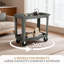 Chariot utilitaire à 2 tablettes sur roulettes, chariot de service en plastique pour chariot d'atelier