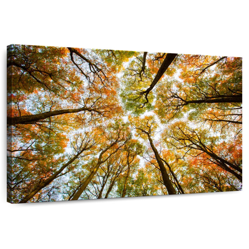 Alvord Larvik, forêt d'automne de Norvège, H 8 po x l 12 po