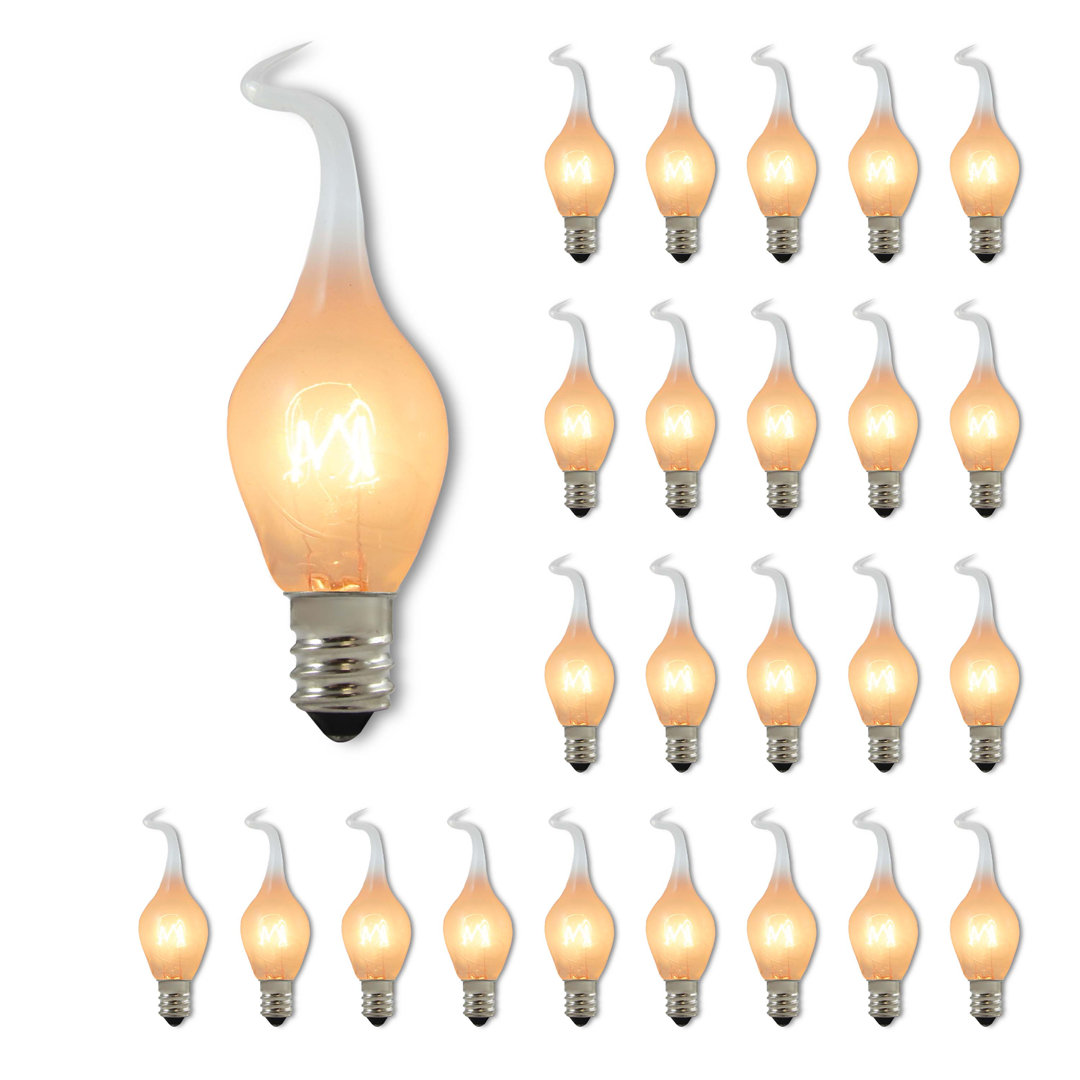 6 Watt E12/Candelabra Dimmable 2700K Incandescent Bulb (Set of 25) Bulbrite Industries