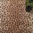 Journey Performance Machine Washable Animal Print Rug-1252607755