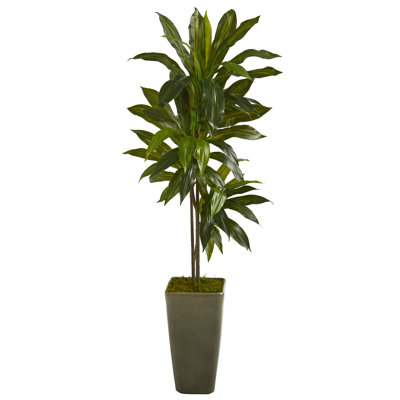 54'' Faux Dracaena Plant in Ceramic Planter