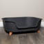 Samuel Alexander Pet Bowl-109272062